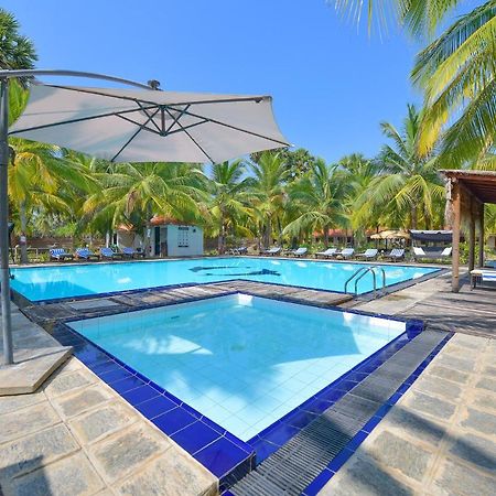 De Silva Palm Resort Калпития Екстериор снимка